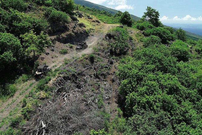 Maui: Lahaina ATV Adventure - Lahaina UTV meets Puu Kukui, not just a dirt road