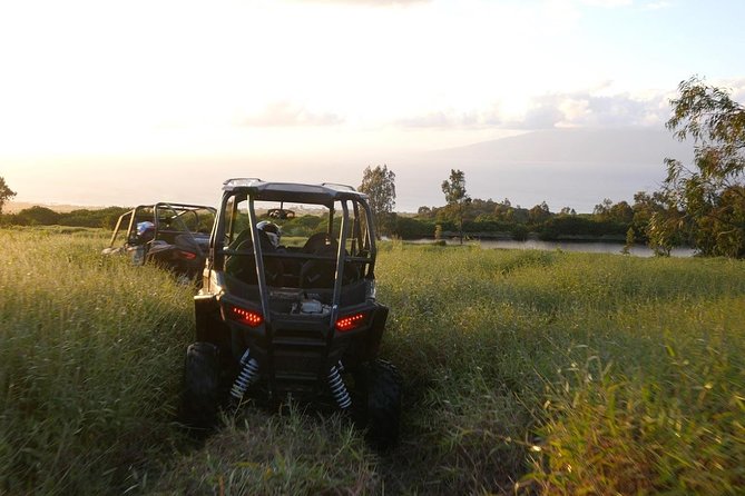 Maui: Lahaina ATV Adventure - Polaris RZR four-seaters, and how driving actually works