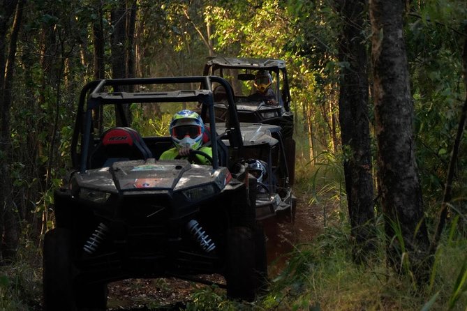Maui: Lahaina ATV Adventure - The eco angle: watershed learning and reforestation energy