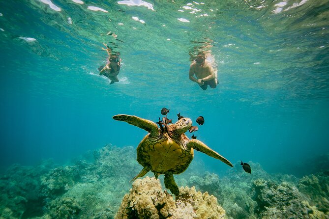Maui: Molokini Crater and Turtle Town Snorkeling From Kihei - Food and the little comfort wins between swims