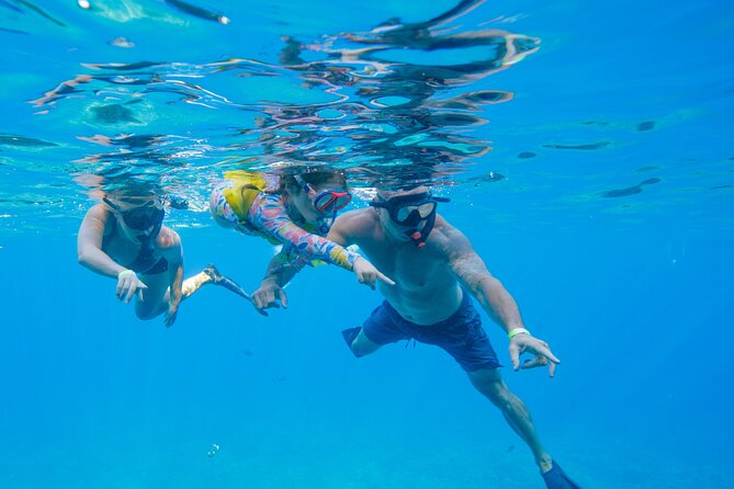 Maui: Molokini Crater and Turtle Town Snorkeling From Kihei - Who this tour fits best