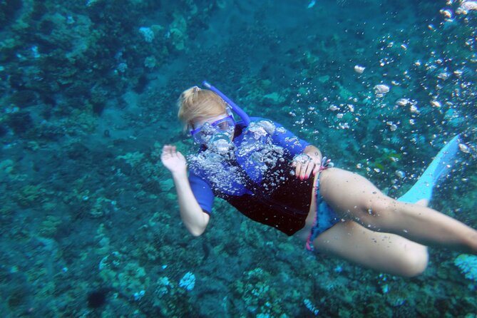 Maui: Molokini & Turtle Town Snorkel & Waterslide Adventure - Turtle Town: More Turtles, More “Okay, Wow” Moments