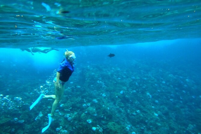 Maui: Molokini & Turtle Town Snorkel & Waterslide Adventure - Gear Rules, Mask Policy, and Comfort Requirements