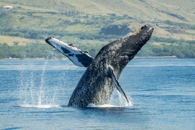 Maui: Original Sunset Cruise with Open Bar from Ka’anapali Beach - The route: Maui’s west shore views and islands on the horizon
