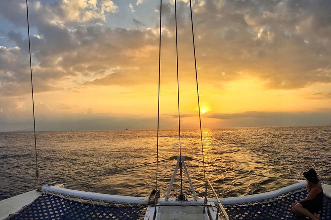 Maui: Original Sunset Cruise with Open Bar from Ka’anapali Beach - Whales and dolphins: best odds in winter months