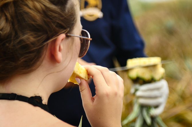 Maui Pineapple Farm Tour in Haliimaile - The big takeaway: your airport-ready pineapple