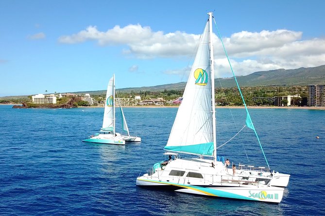 Maui Premium Sunset Dinner Cruise from Ka’anapali Beach - Ka’anapali Beach Departure, Sea Maui Check-In, and What to Do First