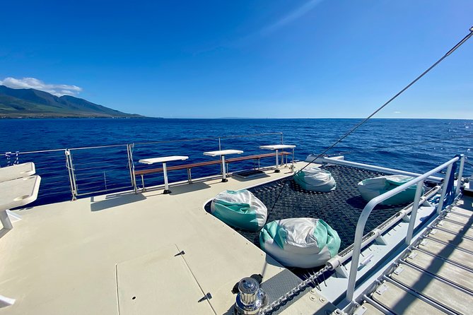 Maui Premium Sunset Dinner Cruise from Ka’anapali Beach - Whale Watching in Maui Season, How It Works, and What to Aim For