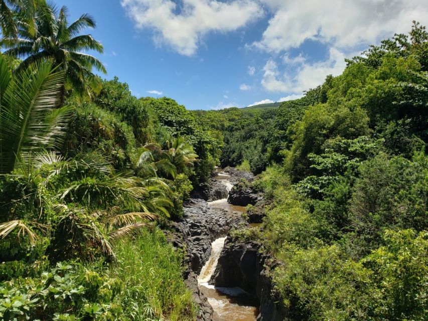 Maui: Road to Hana Adventure with Breakfast & Lunch - The Hana Highway rhythm: coastal outlooks, then rainforest swings