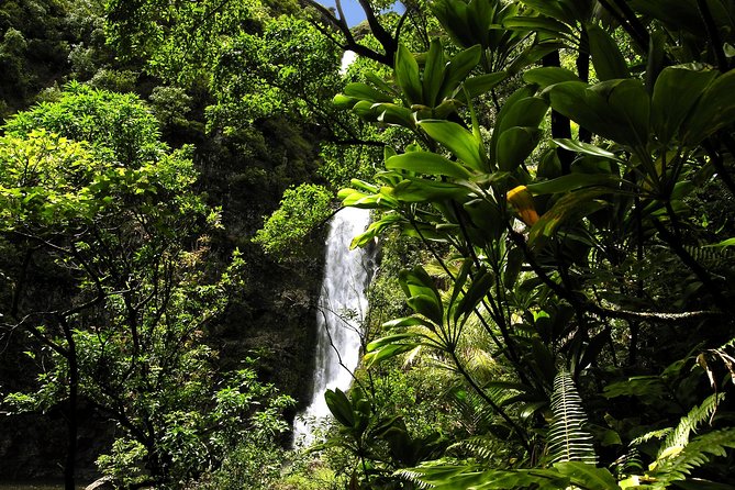 Maui: Road to Hana Luxury Limo-Van Tour with Helicopter Flight - Wai’anapanapa State Park and black sand beach time