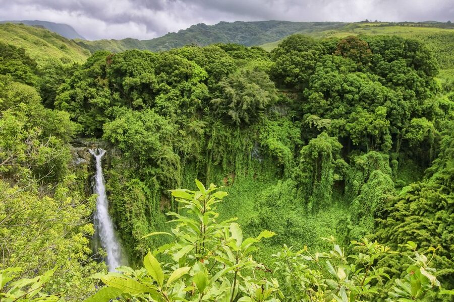 Maui: Small-Group Road to Hāna Sightseeing Tour - A calmer Road to Hāna: why small-group touring pays off