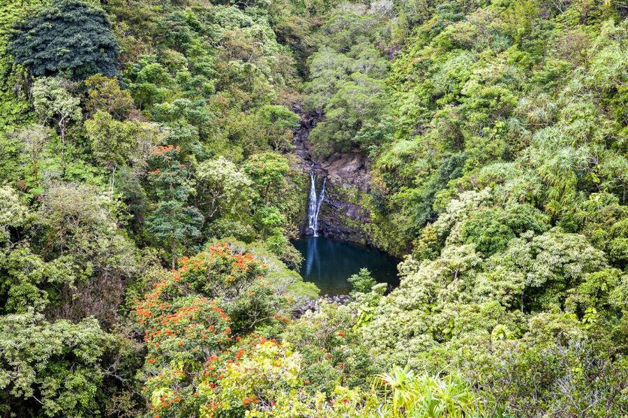 Maui: Small-Group Road to Hāna Sightseeing Tour - Coastal lookouts and rainforest corners you might see