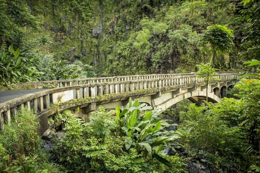 Maui: Small-Group Road to Hāna Sightseeing Tour - The BBQ lunch: value, quality, and why it beats a hurried meal