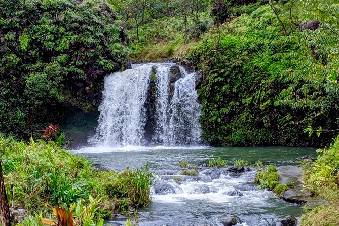 Maui: Small Group Road to Hāna Tour 6 to 8 passengers - The real value of this Road to Hāna day, not just the views