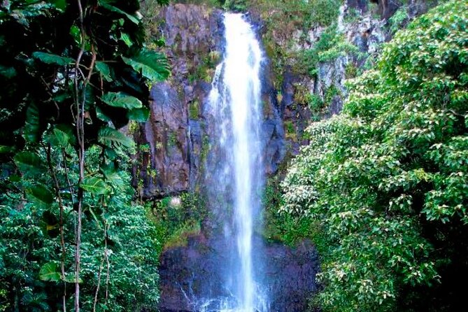 Maui: Small Group Road to Hāna Tour 6 to 8 passengers - Hana town and Wailua Falls, the breaks that keep the day fun