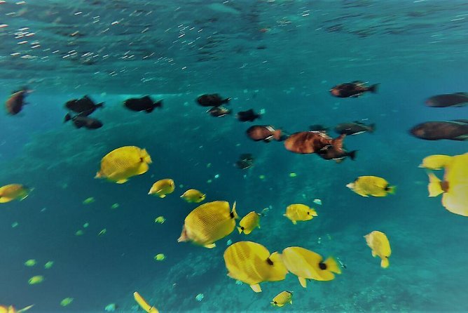 Maui Snorkel Adventure: Molokini Crater and Turtle Cove - Super Raft ride: what the boat experience really means for you