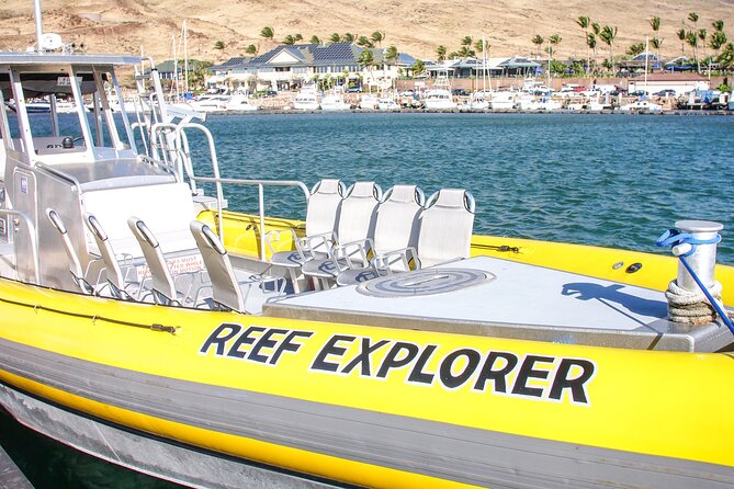 Maui Snorkel Adventure: Molokini Crater and Turtle Cove - Food, snacks, and drinks: the part that can make or break the day