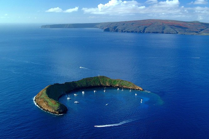 Maui Snorkeling Adventure From Ma'alaea Harbor to Molokini - Turtle Town: swimming with Hawaiian green sea turtles