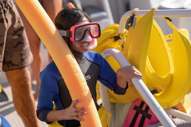 Maui Snorkeling Adventure to Molokini and Turtle Town - Wildlife and whale sightings: likely, but manage the outcome