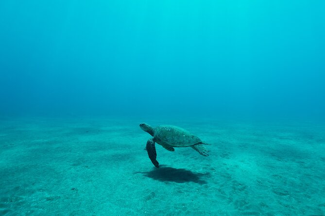 Maui Snorkeling Boat Tour to Turtle Town Aboard Quicksilver - What the Makena Landing Park and McGregor Point Light stops really add