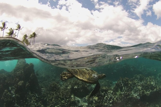 Maui South Coast and Molokini Crater Adventure from Kihei - Why Molokini feels different when you get there first