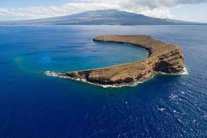 Maui South Coast and Molokini Crater Adventure from Kihei - Stop 2 and the La Perouse Bay stop: lava flows and spinner dolphin chances