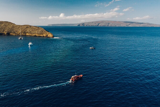 Maui South Coast and Molokini Crater Adventure from Kihei - Stop 3: Turtle Town for Hawaiian green sea turtles