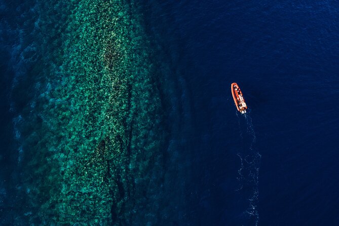 Maui South Coast and Molokini Crater Adventure from Kihei - Food and gear: the included stuff that actually makes a difference