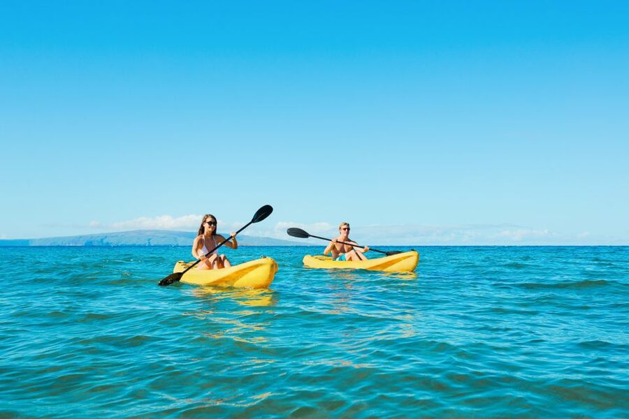 Maui: Turtle Town Kayak and Snorkel Tour - Key things that make this Turtle Town tour worth it