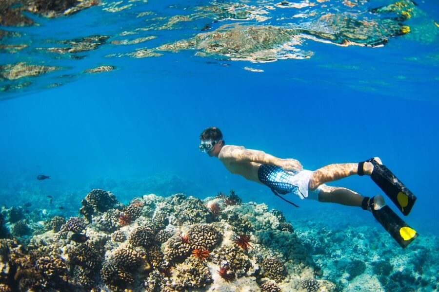 Maui: Turtle Town Kayak and Snorkel Tour - Starting at Makena Landing Park, gear up fast and stay organized