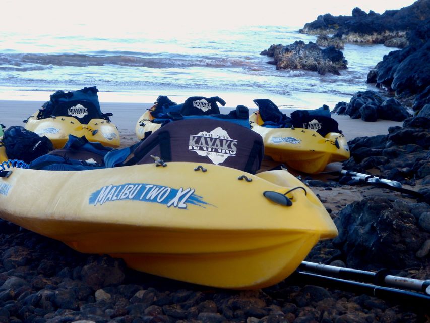 Maui: Turtle Town Kayak and Snorkel Tour - Early 7:15 vs later 10:30, how to choose your departure time