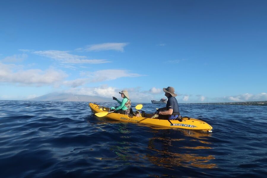 Maui: Turtle Town Kayak and Snorkel Tour - How the 3 hour experience is paced, paddle first then snorkel