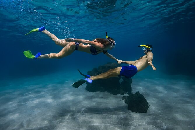 Maui: Turtle Town Snorkel with Photo and Video - Key things that make this Turtle Town snorkel work