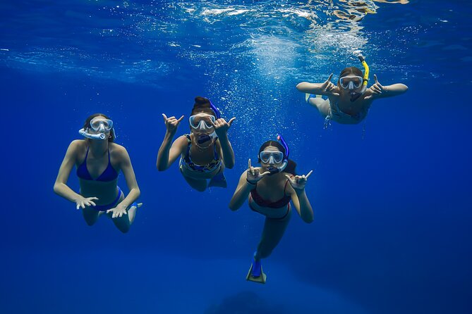 Maui: Turtle Town Snorkel with Photo and Video - Gear, life jackets, and what you really need to pack
