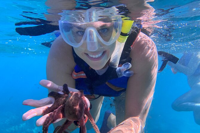 Maui: Turtle Town Snorkel with Photo and Video - Getting turtles and staying calm, guided by real ocean folks