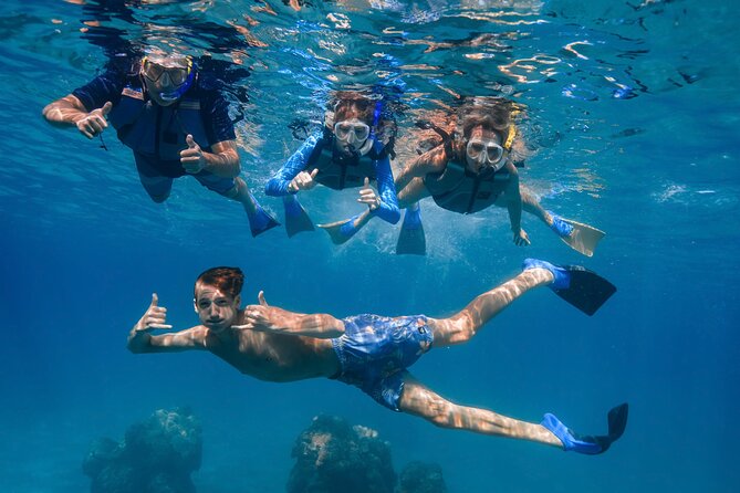 Maui: Turtle Town Snorkel with Photo and Video - Wildlife you can expect, plus how to snorkel without ruining it