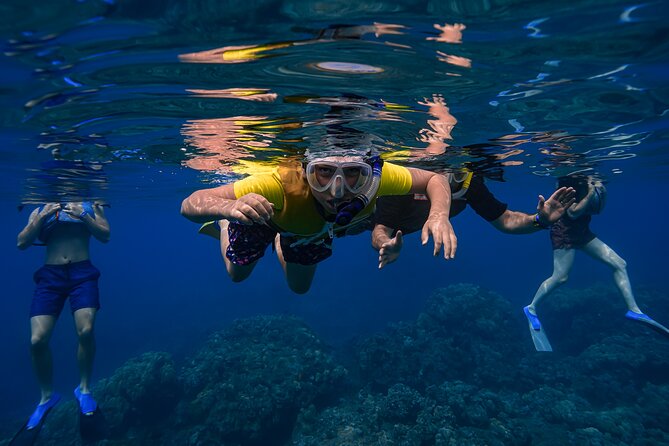 Maui: Turtle Town Snorkel with Photo and Video - Price, group size, and whether $129 feels fair