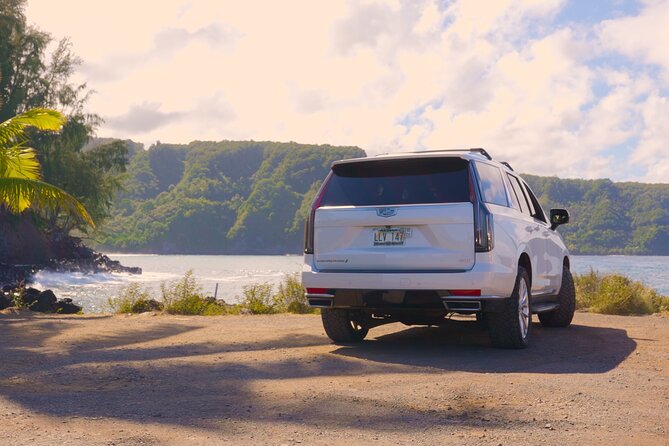 Maui: VIP Private Road to Hana Tour with Pick Up - Rainforest stops: Pua’a Ka’a and Upper Waikani Falls
