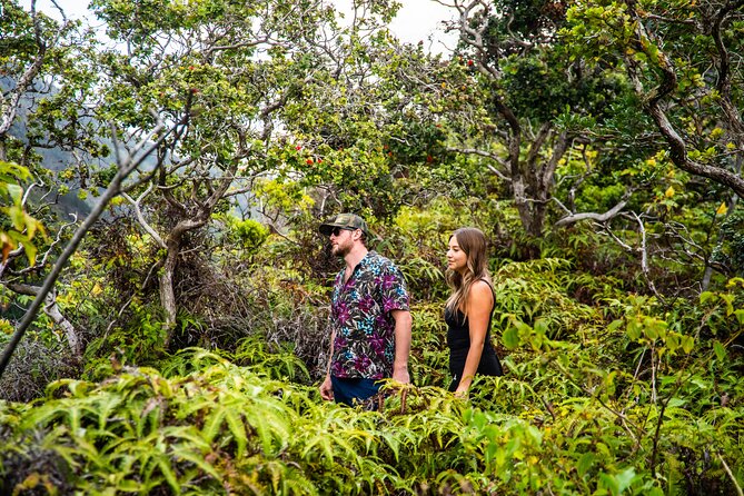 Maui: VIP Private Road to Hana Tour with Pick Up - Wai’anapanapa and black sand: the big visual payoff