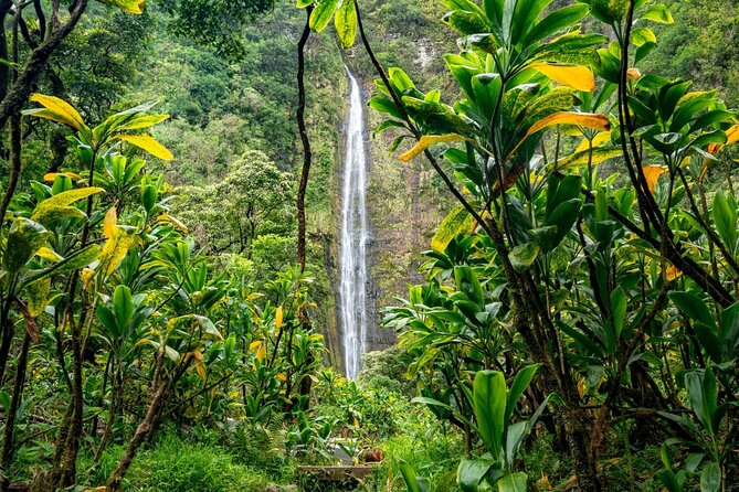 Maui: VIP Private Road to Hana Tour with Pick Up - Wailua Falls and Ho’okipa: closing with classics and a turtle check