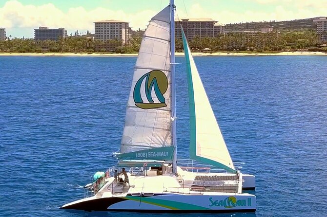 Maui: Whale Watching Cruise with Open Bar from Ka'anapali Beach - Why Ka’anapali is a strong winter whale-watching base