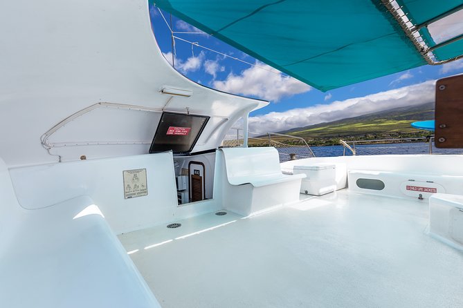 Maui: Whale Watching Cruise with Open Bar from Ka'anapali Beach - The 2-hour cruise around West Maui: how sightings usually play out