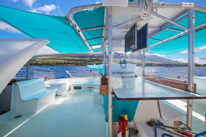 Maui: Whale Watching Cruise with Open Bar from Ka'anapali Beach - Group size and boarding: what to know before you step on board