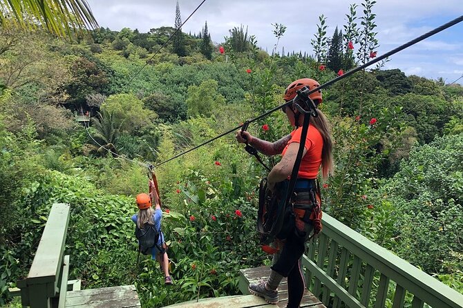 Maui Zipline Eco Adventure: 8 Lines through the Jungle - Key highlights you will care about