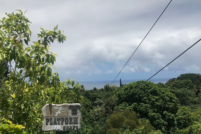 Maui Zipline Eco Adventure: 8 Lines through the Jungle - Haiku Jungle Zipline Maui: 8 Lines Through the Trees in About 2 Hours