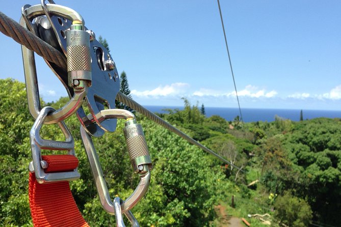 Maui Zipline Eco Adventure: 8 Lines through the Jungle - Check-in at Jungle Zipline Maui-HI: Timing, gear, and what to wear