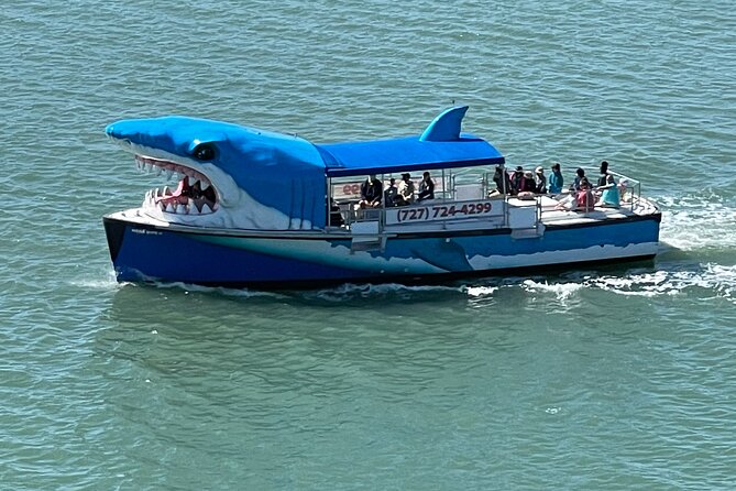 Mega Bite Dolphin Tour Boat in Clearwater Beach - Key Things That Make Mega Bite Different