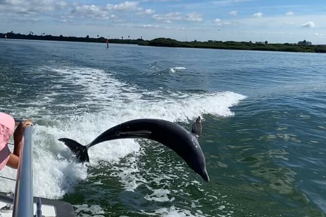 Mega Bite Dolphin Tour Boat in Clearwater Beach - Sunset vs Daytime: Why Timing Can Feel Like a Different Tour
