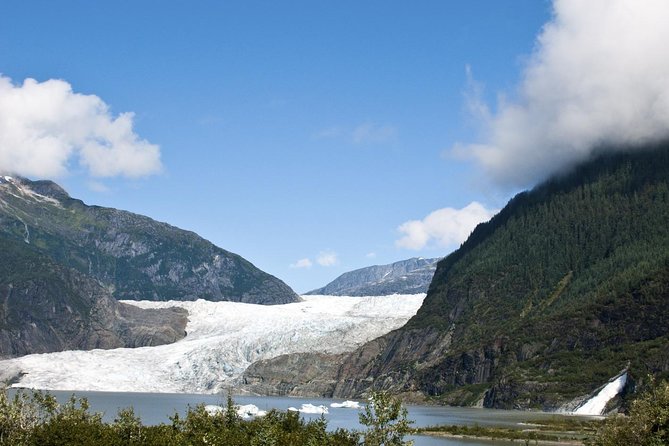 Mendenhall Glacier Trolley Tour - Getting From Juneau’s Cruise Port to Mendenhall, Without the Headache