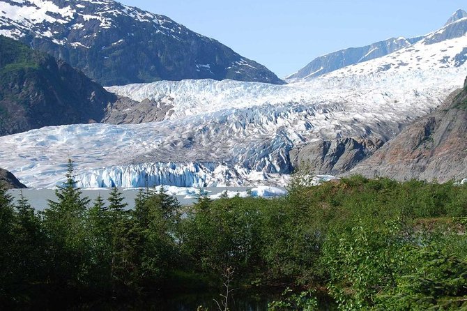 Mendenhall Glacier Trolley Tour - Visitor Center Time: Free Admission and Real Options Once You Arrive